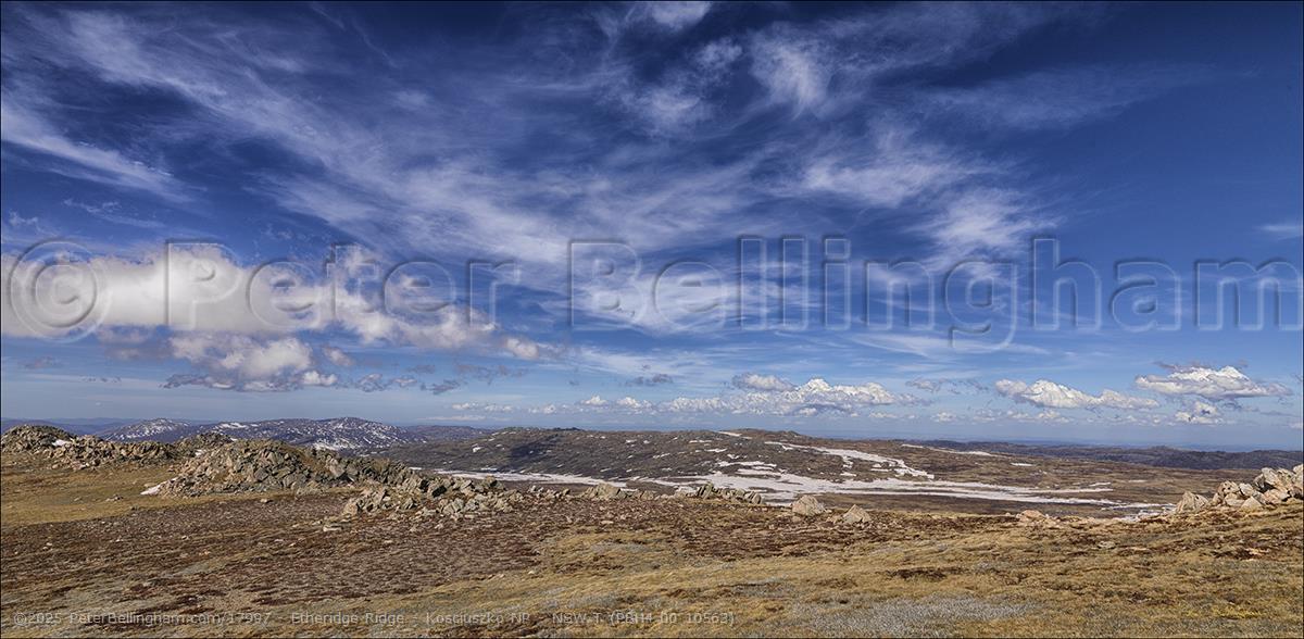 Peter Bellingham Photography Etheridge Ridge - Kosciuszko NP - NSW T (PBH4 00 10563)